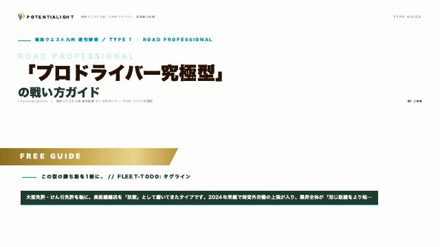 プロドライバー究極型の戦い方ガイド 表紙